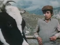 Кадр из фильма «Под знаком однорогой коровы»