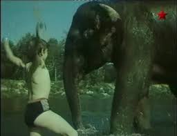 Кадр из фильма «Потерялся слон»